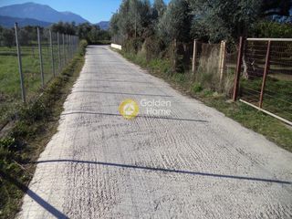 Αγροτεμάχια 6.194 τ.μ. για πώληση, Αχαΐα, Αίγιο-thumb-3