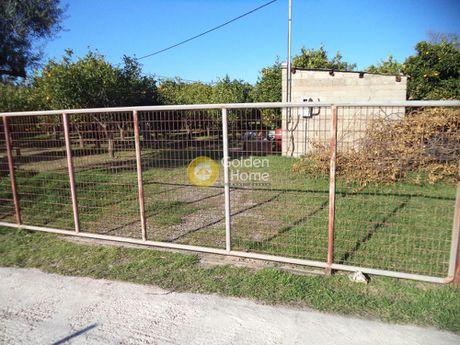 Αγροτεμάχια 6.194τ.μ. για πώληση-Αίγιο » Διγελιώτικα