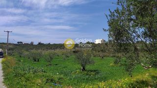 Αγροτεμάχια 1.033 τ.μ. για πώληση, Ν. Ρεθύμνου, Γεροπόταμος-thumb-5