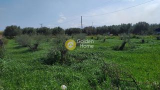 Αγροτεμάχια 1.033 τ.μ. για πώληση, Ν. Ρεθύμνου, Γεροπόταμος-thumb-12