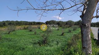 Αγροτεμάχια 1.033 τ.μ. για πώληση, Ν. Ρεθύμνου, Γεροπόταμος-thumb-8