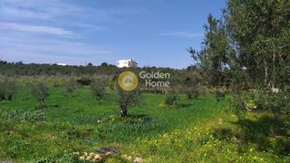 Αγροτεμάχια 1.033 τ.μ. για πώληση, Ν. Ρεθύμνου, Γεροπόταμος-thumb-7