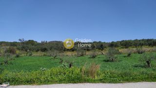 Αγροτεμάχια 1.033 τ.μ. για πώληση, Ν. Ρεθύμνου, Γεροπόταμος-thumb-9