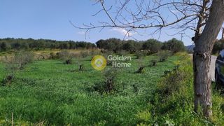 Αγροτεμάχια 1.033 τ.μ. για πώληση, Ν. Ρεθύμνου, Γεροπόταμος-thumb-10