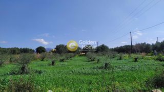 Αγροτεμάχια 1.033 τ.μ. για πώληση