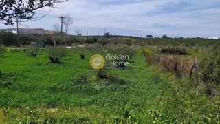 Αγροτεμάχια 1.033 τ.μ. για πώληση, Ν. Ρεθύμνου, Γεροπόταμος-thumb-1