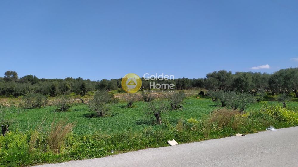 Αγροτεμάχια 1.033 τ.μ. πρός πώληση, Ν. Ρεθύμνου, Γεροπόταμος