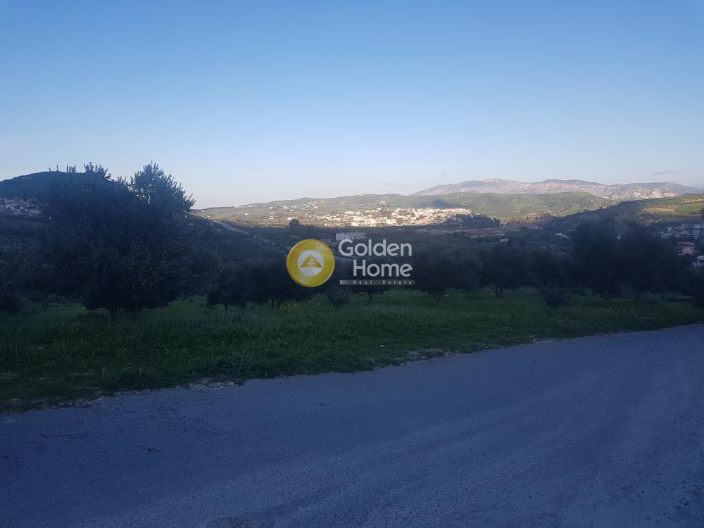 Αγροτεμάχια 2.827 τ.μ. προς πώληση, Αυγενική