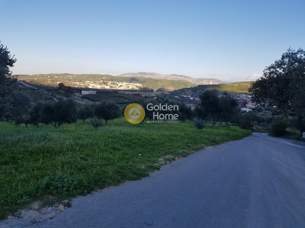 Αγροτεμάχια 2.827 τ.μ. προς πώληση, Αυγενική