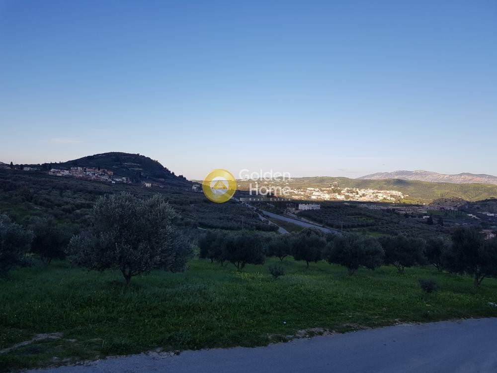 Αγροτεμάχια 2.827 τ.μ. προς πώληση, Αυγενική