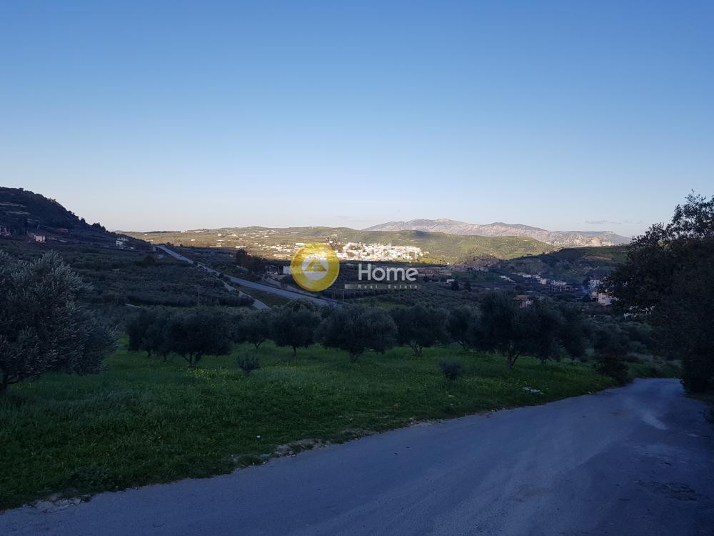 Αγροτεμάχια 2.827 τ.μ. προς πώληση, Αυγενική