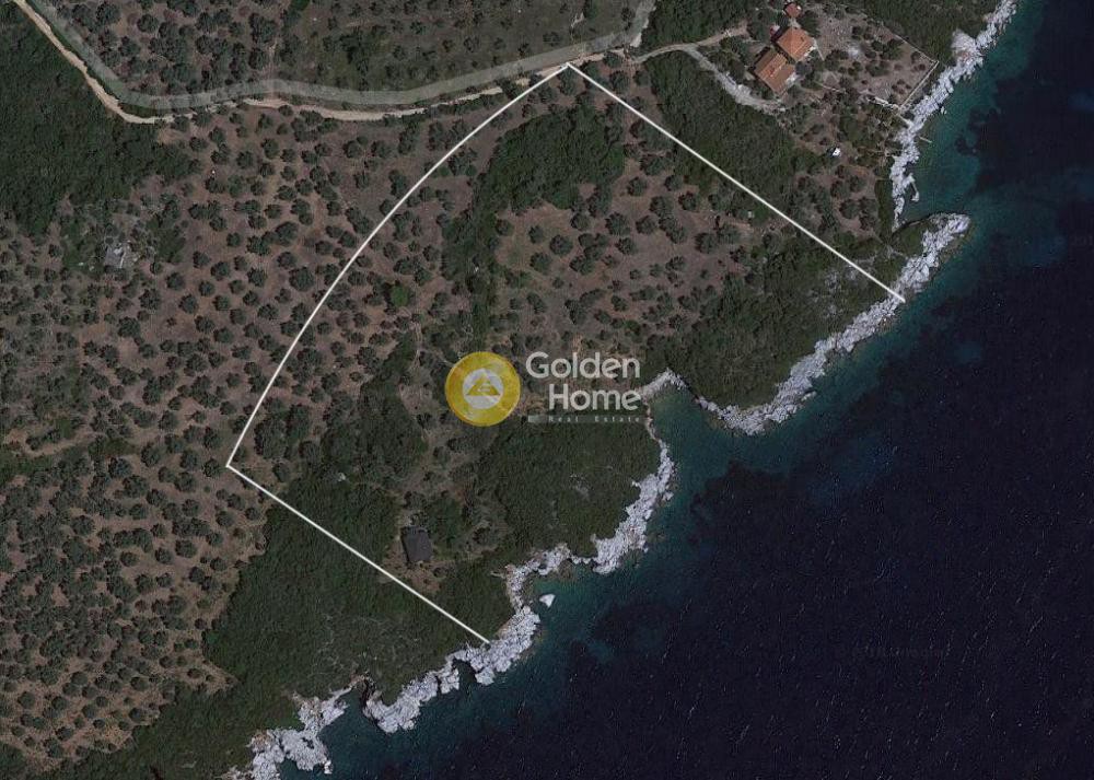 Οικόπεδο 10.671 τ.μ. πρός πώληση, Μαγνησία, Σηπιάδα