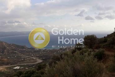 Αγροτεμάχια 15.000τ.μ. για πώληση-Λάμπη » Αγία γαλήνη
