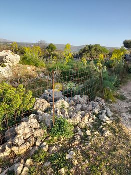 Οικόπεδο 9.558τ.μ. για πώληση-Νικηφόρος φωκάς » Αθάνατος