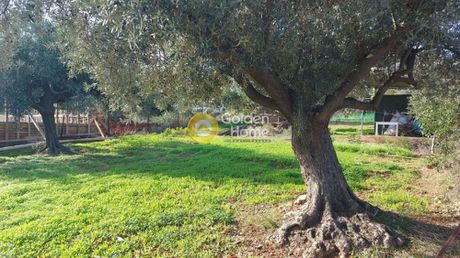 Οικόπεδο 451τ.μ. για πώληση-Παιανία » Τρίγωνο λαγού