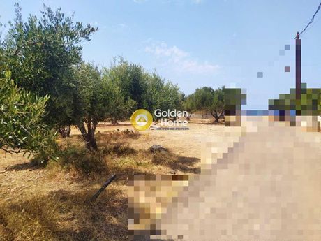 Οικόπεδο 5.400τ.μ. για πώληση-Χερσόνησος » Ανισσαράς