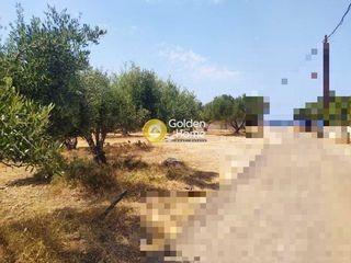 Οικόπεδο 5.400 τ.μ. για πώληση