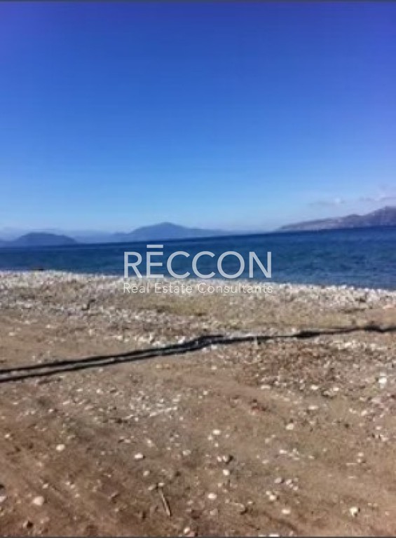 Αγροτεμάχια 4.004 τ.μ. για πώληση, Εύβοια, Αρτεμίσιο