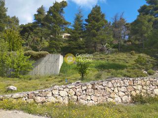 Land plot 1.001 sqm for sale
