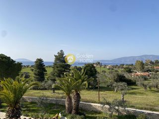 Μονοκατοικία 310 τ.μ. για πώληση, Αργολίδα, Κρανίδι-thumb-45