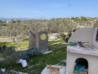 Μονοκατοικία 310 τ.μ. για πώληση, Αργολίδα, Κρανίδι-thumb-39