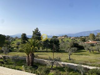 Μονοκατοικία 310 τ.μ. για πώληση, Αργολίδα, Κρανίδι-thumb-46