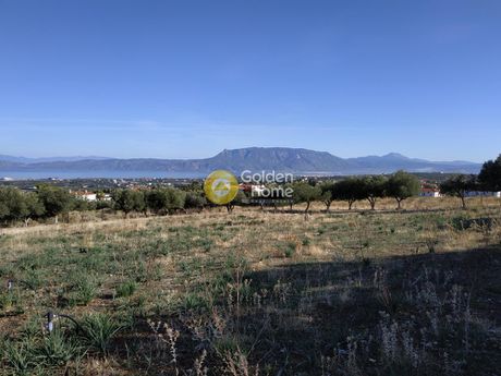 Land plot 6.465sqm for sale-Korinthos » Anapnoga