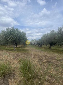 Land plot 1.347sqm for sale-Gouves » Kato Vatheia