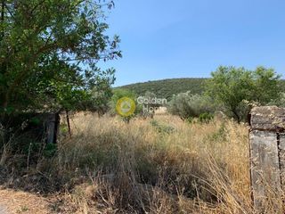 Οικόπεδο 1.300 τ.μ. για πώληση, Εύβοια, Χαλκίδα-thumb-26