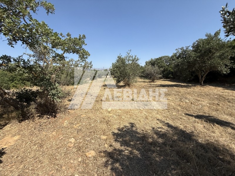 Οικόπεδο 1.640 τ.μ. προς πώληση, Άγιος Μηνάς Χίου