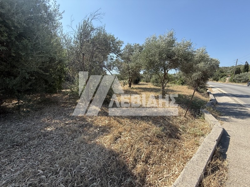 Οικόπεδο 1.640 τ.μ. προς πώληση, Άγιος Μηνάς Χίου