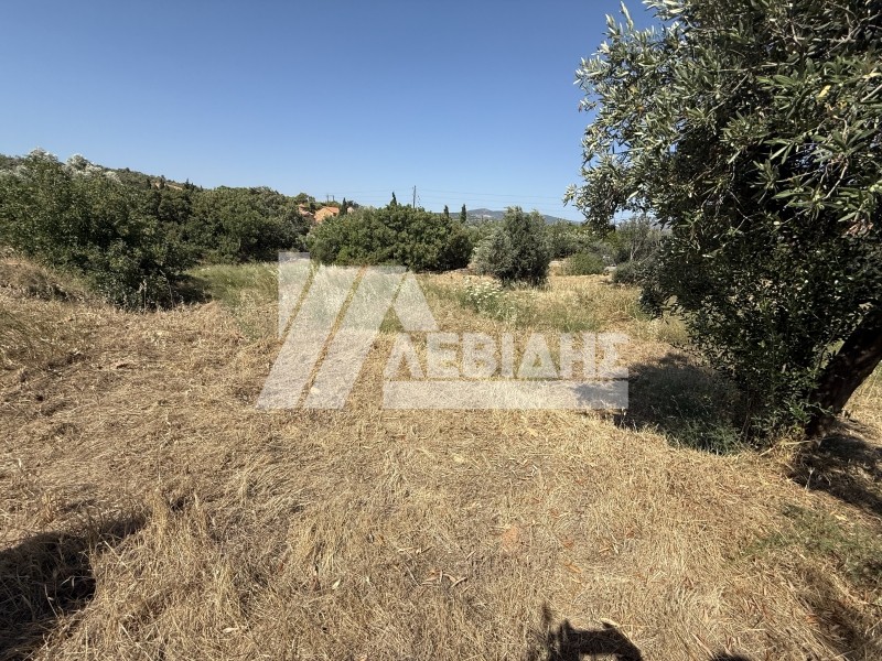 Οικόπεδο 1.640 τ.μ. προς πώληση, Άγιος Μηνάς Χίου