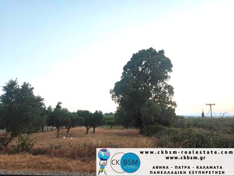 Οικόπεδο 3.030τ.μ. για πώληση-Άριο » Άρις