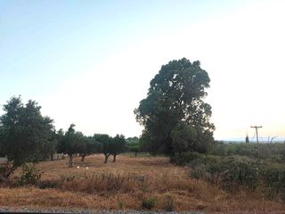 Οικόπεδο 3.030 τ.μ. για πώληση, Μεσσηνία, Άριο-thumb-3
