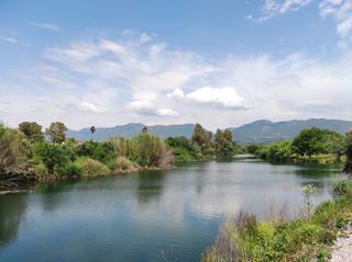 Οικόπεδο 3.030 τ.μ. για πώληση, Μεσσηνία, Άριο-thumb-6