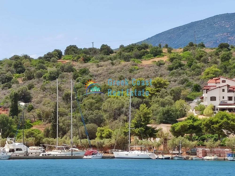 Οικόπεδο 855 τ.μ. προς πώληση, Φωκίδα, Τολοφώνα