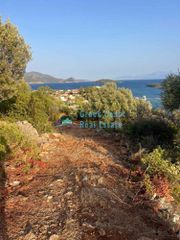 Οικόπεδο 855 τ.μ. προς πώληση, Φωκίδα, Τολοφώνα-thumb-5
