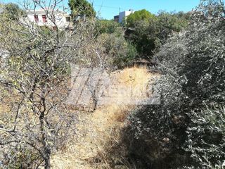 Οικόπεδο 607 τ.μ. για πώληση