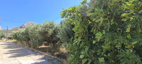 Οικόπεδο 539τ.μ. για πώληση-Φοινίκας » Λευκόγεια