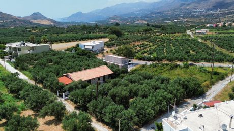 Οικόπεδο 539τ.μ. για πώληση-Φοινίκας » Λευκόγεια