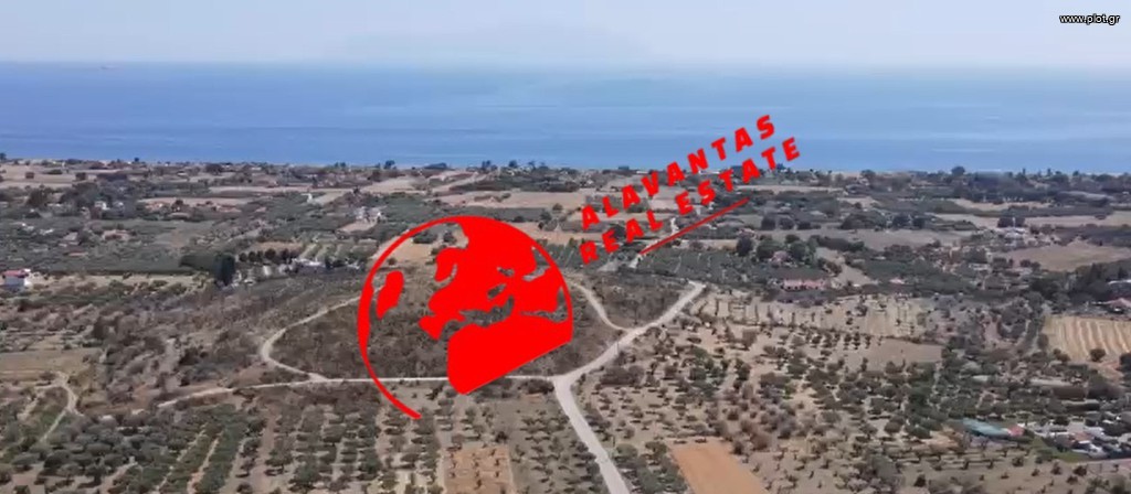 Ακίνητο 1.480 τ.μ. πρός πώληση, Εβρος, Αλεξανδρούπολη