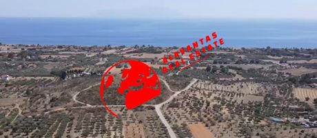 Άλλο 1.480τ.μ. για πώληση-Αλεξανδρούπολη » Δίκελλα