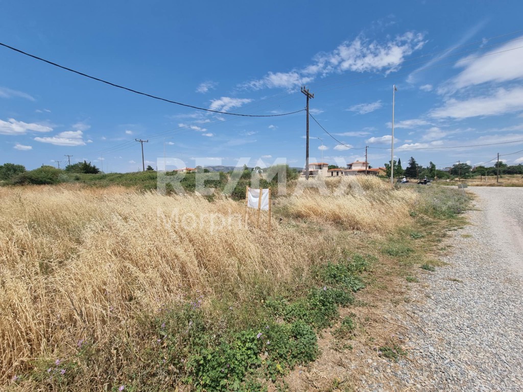 Οικόπεδο 1.388,40 τ.μ. πρός πώληση, Εβρος, Αλεξανδρούπολη