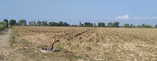 Αγροτεμάχια 65.000 τ.μ. για πώληση