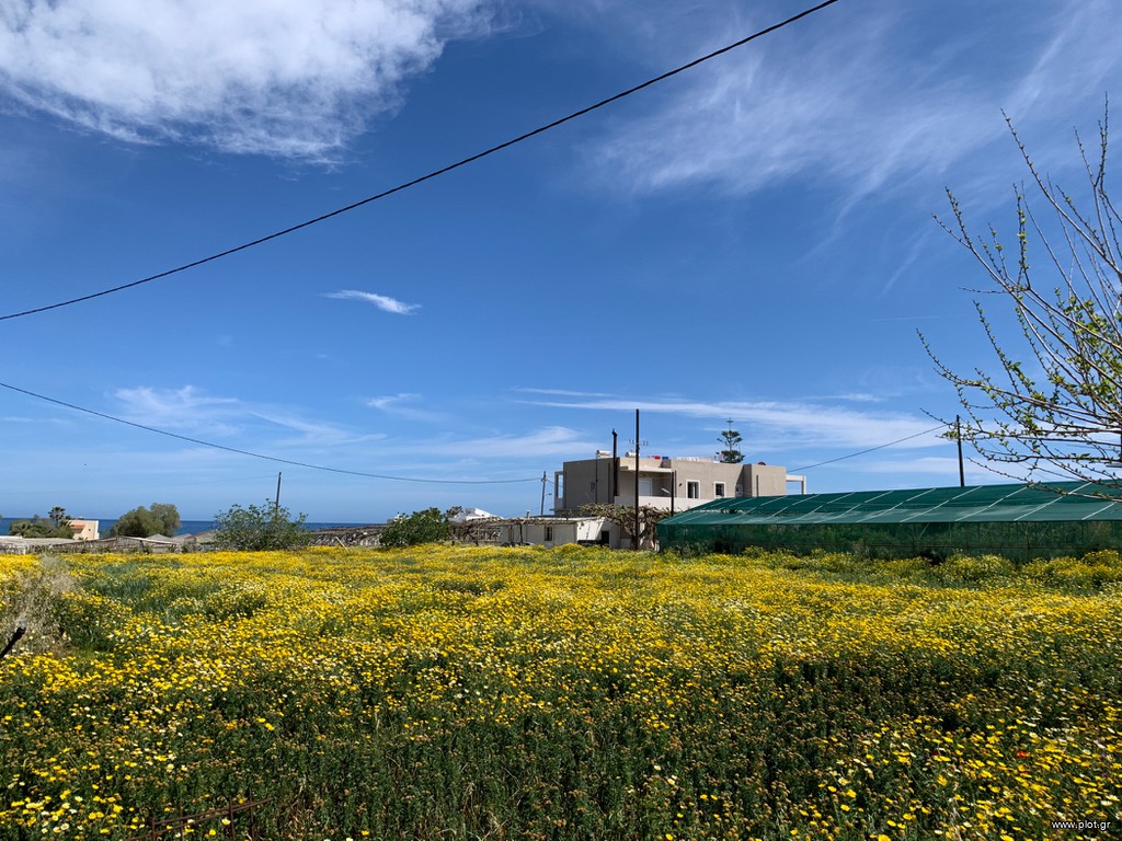 Οικόπεδο 2.200 τ.μ. πρός πώληση, Ν. Ρεθύμνου, Αρκάδι