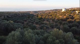 Οικόπεδο 4.000 τ.μ. για πώληση, Ν. Ρεθύμνου, Ρέθυμνο-thumb-4