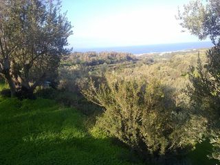 Οικόπεδο 4.000 τ.μ. για πώληση, Ν. Ρεθύμνου, Ρέθυμνο-thumb-7