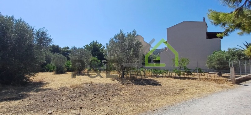 Οικόπεδο 1.121 τ.μ. πρός πώληση, Αθήνα - Ανατολικά Προάστια, Αρτέμιδα (λούτσα)