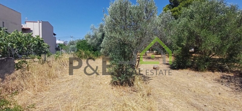 Οικόπεδο 1.121 τ.μ. πρός πώληση, Αθήνα - Ανατολικά Προάστια, Αρτέμιδα (λούτσα)