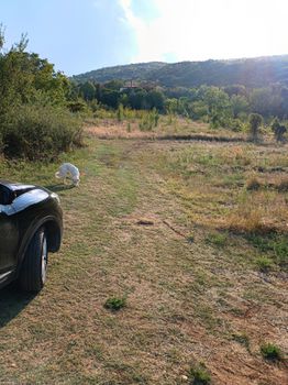 Οικόπεδο 6.700τ.μ. για πώληση-Βέροια » Εργοχώρι